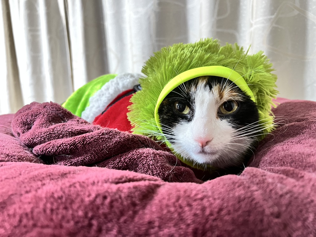 Snacks caseros y seguros que Iris y Rubi aprueban